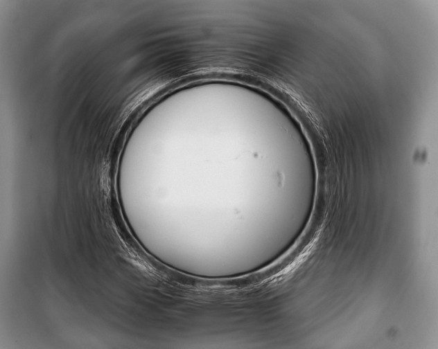 X0000101101113200806261038