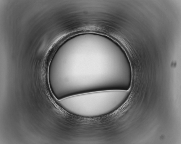 X0000101101115200806261038