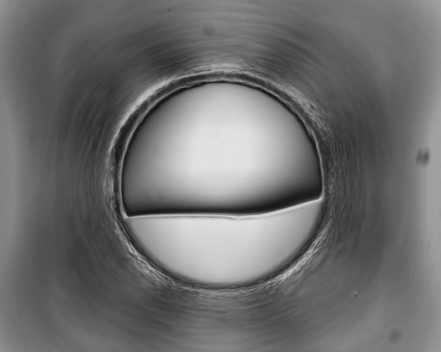 X0000101101118200806261038