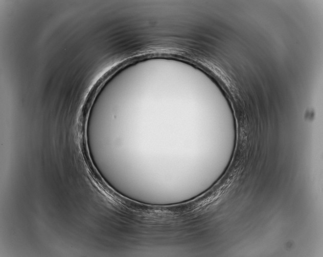 X0000101101119200806261038