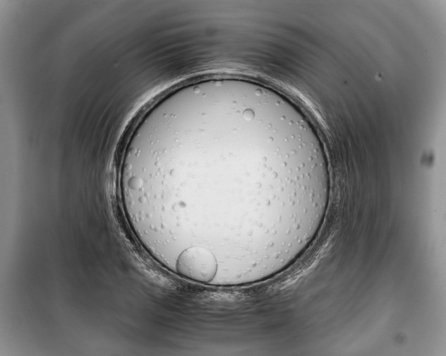 X0000101101125200806261038