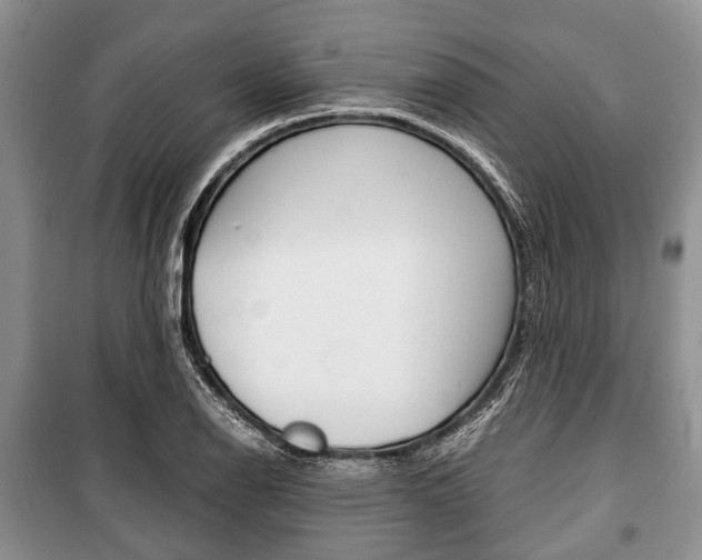 X0000101101126200806261038