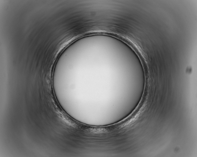 X0000101101129200806261038