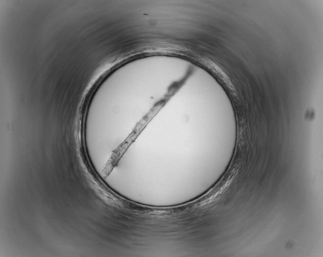 X0000101101130200806261038