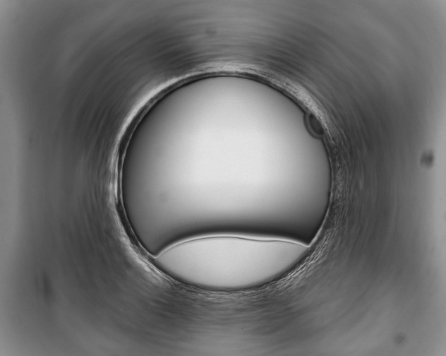 X0000101101132200806261038