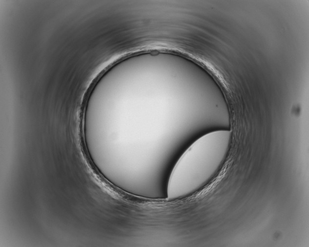 X0000101101134200806261038