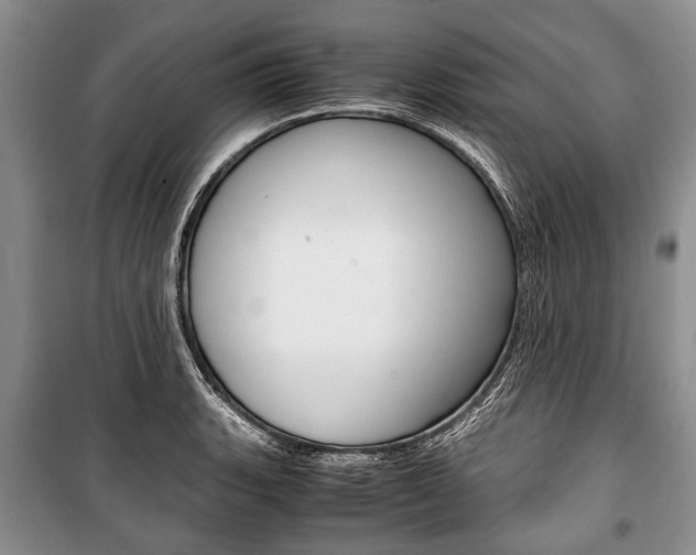 X0000101101135200806261038