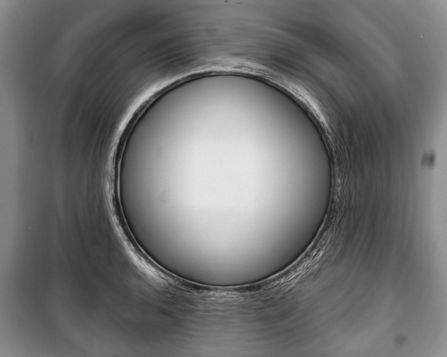 X0000101101136200806261038