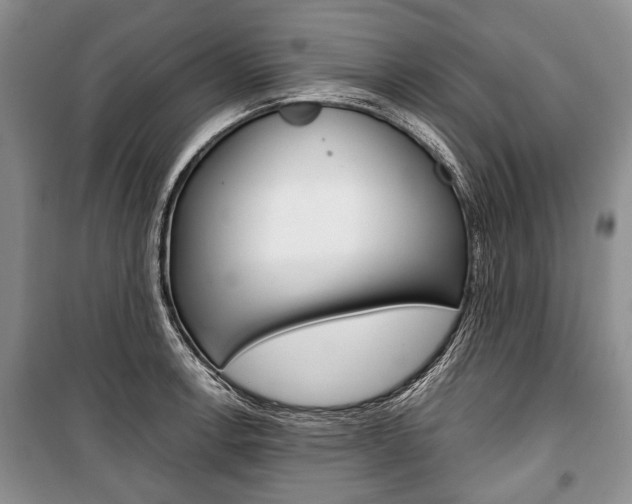 X0000101101138200806261038