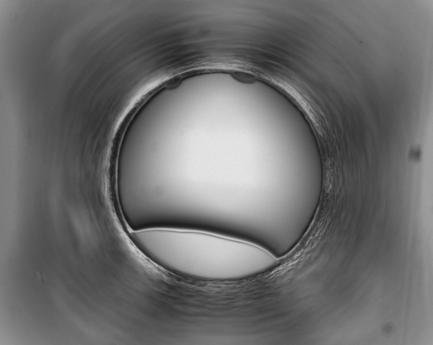 X0000101101139200806261038