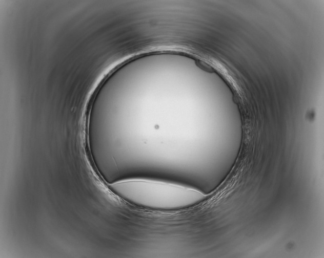 X0000101101140200806261038