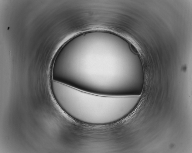 X0000101101142200806261038