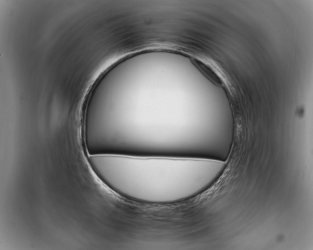 X0000101101143200806261038