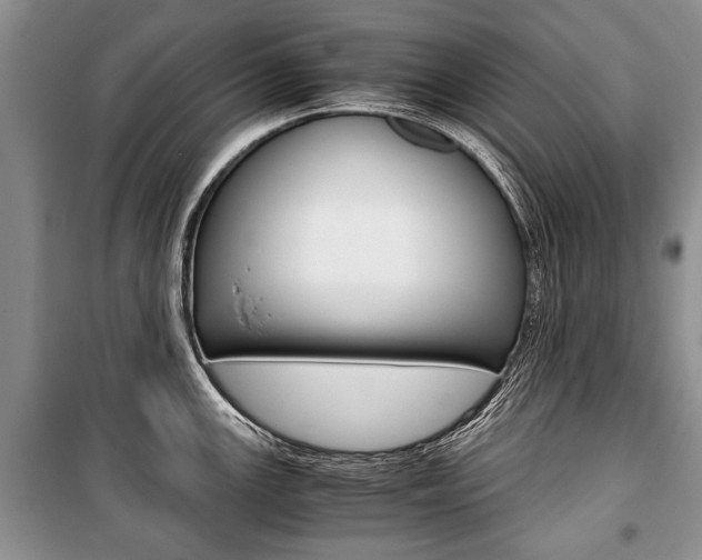 X0000101101147200806261038