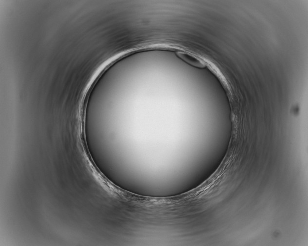 X0000101101148200806261038