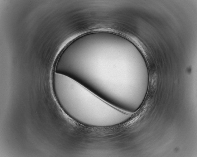 X0000101101149200806261038