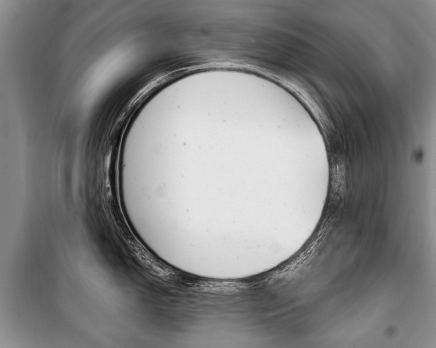 X0000101101150200806261038