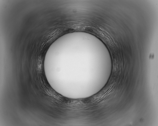 X0000101101154200806261037