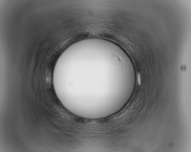 X0000101101155200806261037