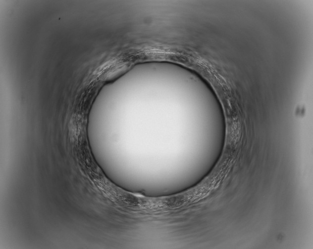 X0000101101157200806261037