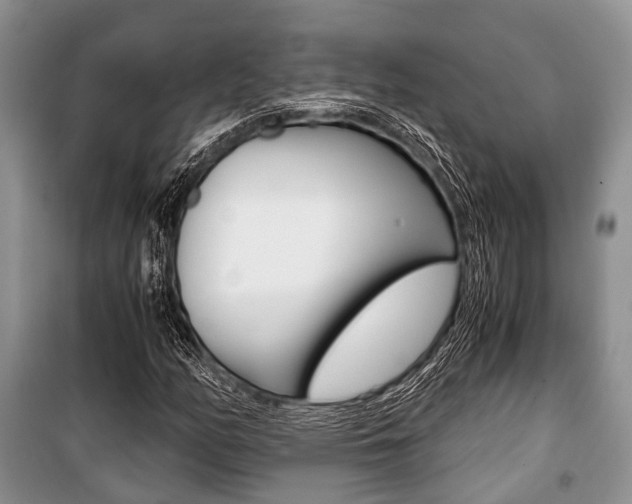 X0000101101158200806261037