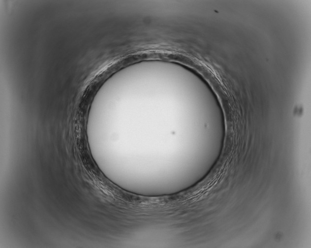 X0000101101159200806261037