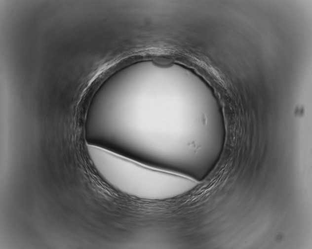X0000101101160200806261037