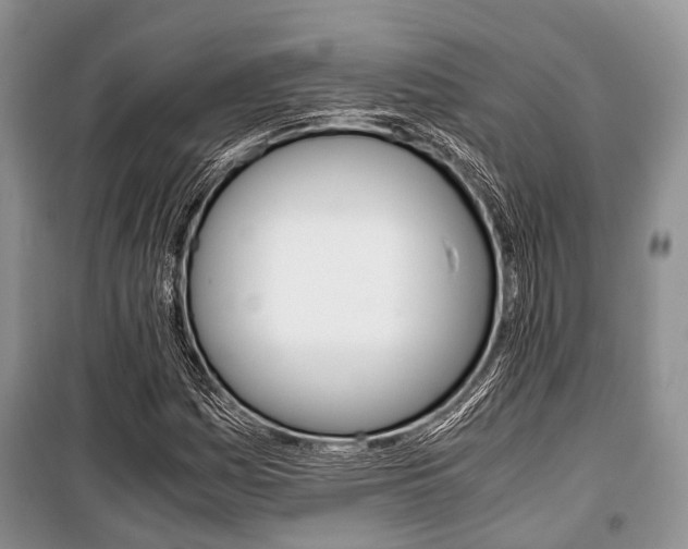 X0000101101161200806261037