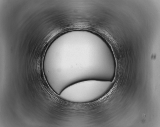 X0000101101162200806261037