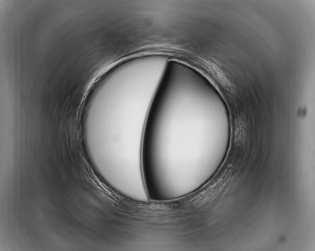 X0000101101164200806261037