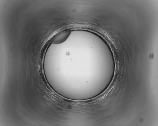 X0000101101165200806261037