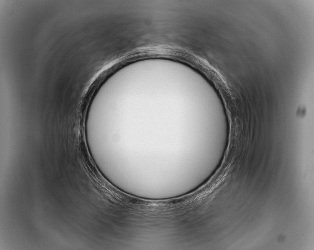 X0000101101166200806261037