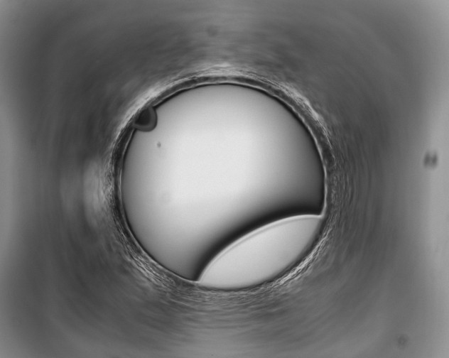 X0000101101167200806261037