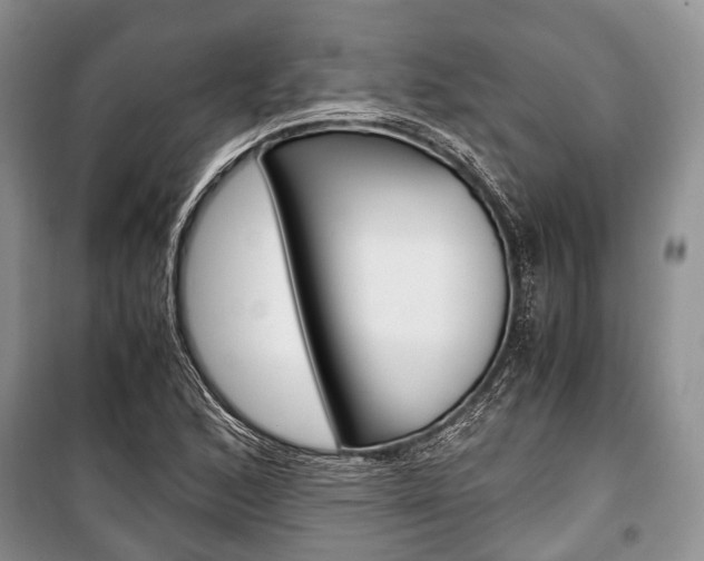X0000101101168200806261037