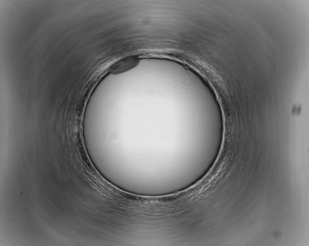 X0000101101169200806261037