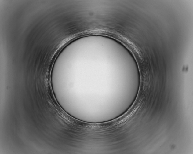 X0000101101170200806261037