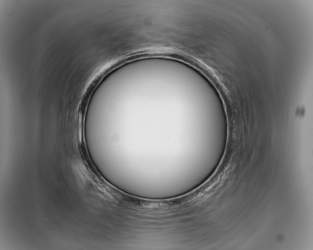 X0000101101171200806261037