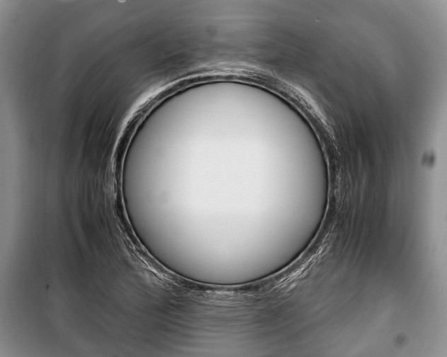X0000101101172200806261037