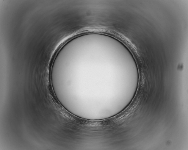 X0000101101174200806261037