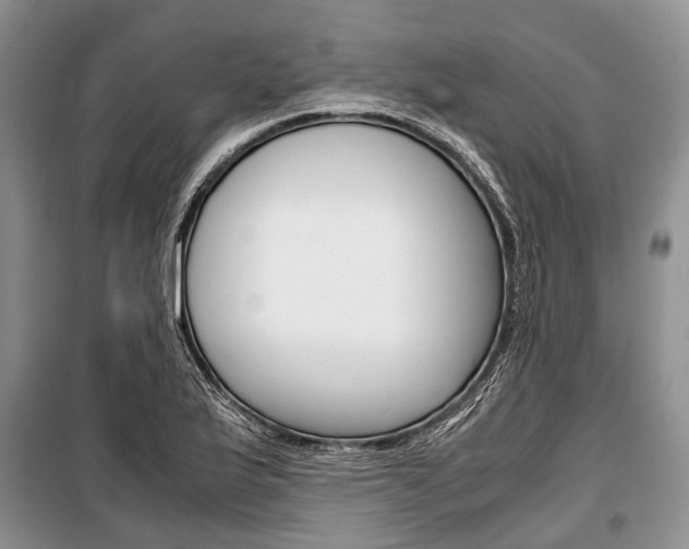 X0000101101175200806261037