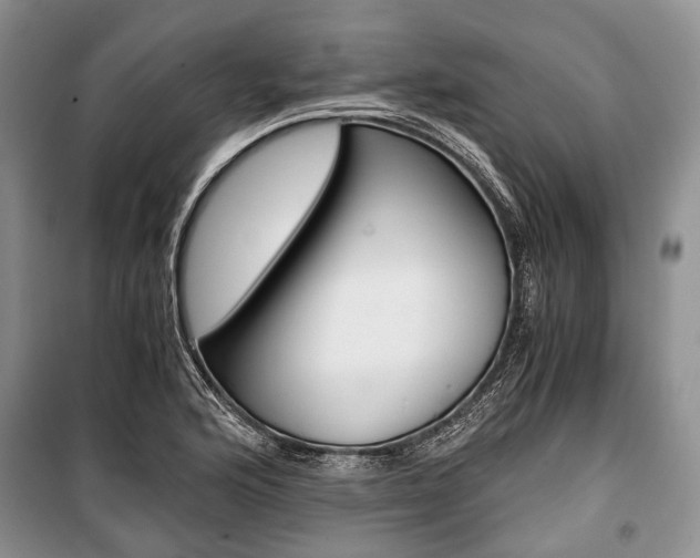 X0000101101176200806261037