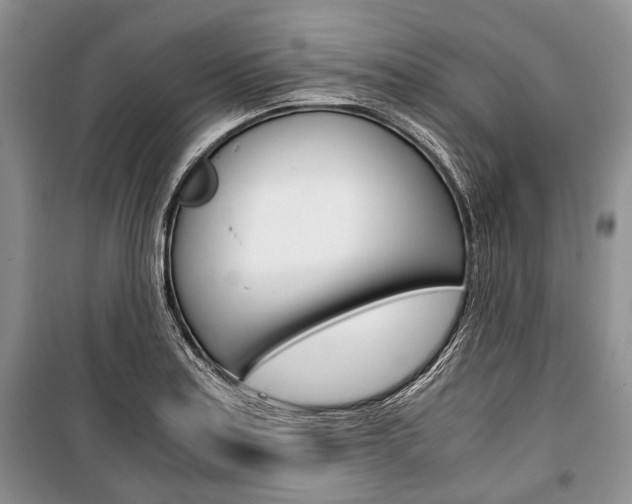 X0000101101179200806261037