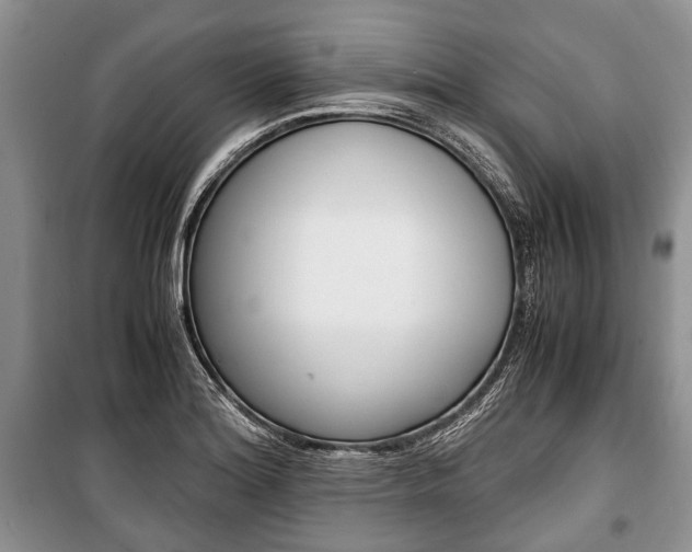 X0000101101180200806261037