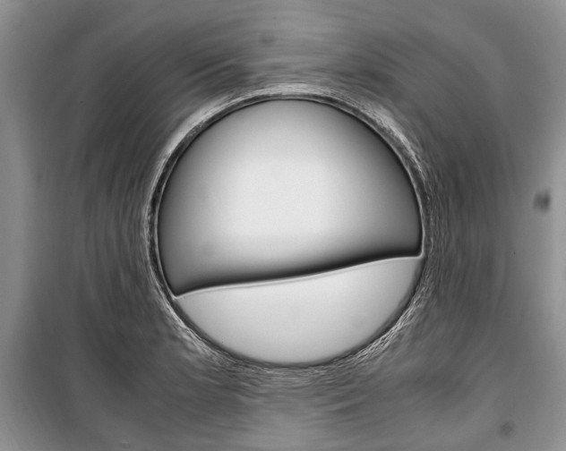 X0000101101181200806261037