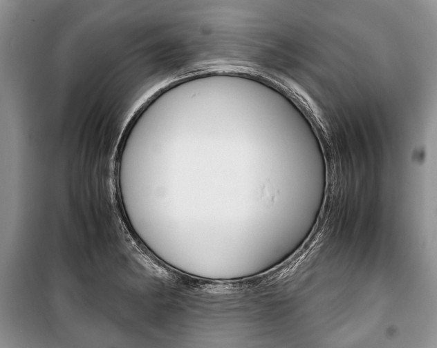 X0000101101182200806261037