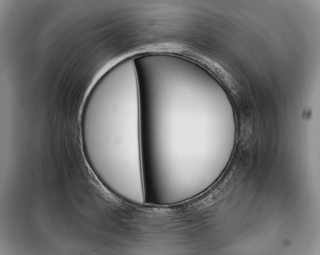 X0000101101184200806261037