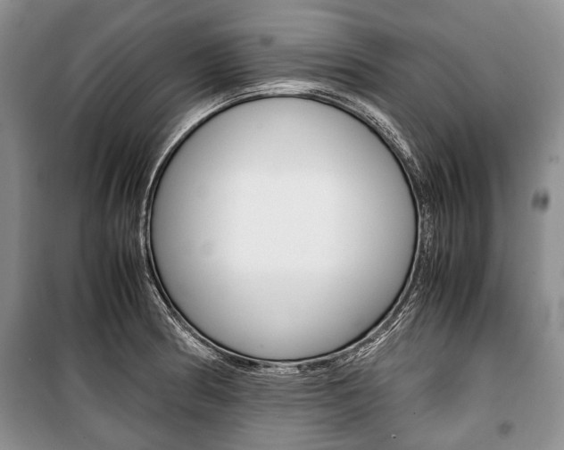 X0000101101186200806261037