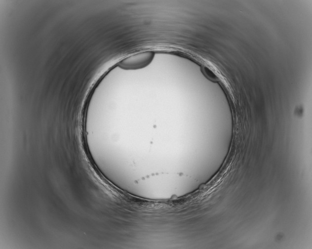X0000101101187200806261037
