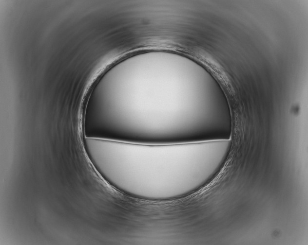 X0000101101188200806261037