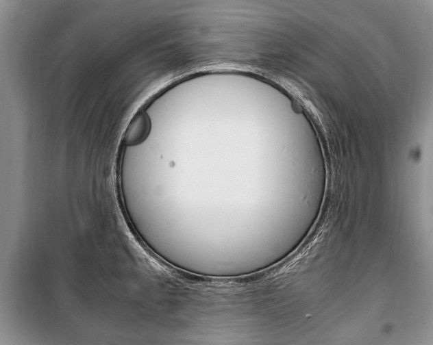 X0000101101189200806261037